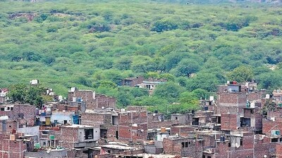 Haryana has a forest cover of only 3.63%, according to the Forest Survey of India. (HT file photo) Haryana has a forest cover of only 3.63%, according to the Forest Survey of India. (HT file photo)