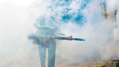 More than 3,000 civic staff have fanned out across Chennai to undertake mosquito-control measures such as fogging operations along streets, drains and using amphibious and robotic excavators to remove hyacinth and stagnated water, officials said. (Shutterstock) More than 3,000 civic staff have fanned out across Chennai to undertake mosquito-control measures such as fogging operations along streets, drains and using amphibious and robotic excavators to remove hyacinth and stagnated water, officials said. (Shutterstock)