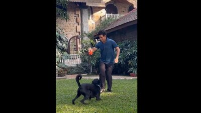 Sachin Tendulkar shares video with dogs. (Instagram/@sachintendulkar) Sachin Tendulkar shares video with dogs. (Instagram/@sachintendulkar)