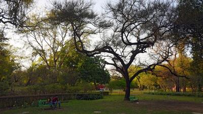 The horticulture wing of the Municipal Corporation of Delhi will set up selfie points, pergolas and art installations at major parks. (HT Archive) The horticulture wing of the Municipal Corporation of Delhi will set up selfie points, pergolas and art installations at major parks. (HT Archive)