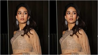 Mira looked gorgeous in the nude georgette saree featuring sequin details and silver zari patterns at the borders. Mira teamed it with a semi-transparent sleeveless blouse featuring corset details and embroidery work in silver resham threads. (Instagram/@mira.kapoor) Mira looked gorgeous in the nude georgette saree featuring sequin details and silver zari patterns at the borders. Mira teamed it with a semi-transparent sleeveless blouse featuring corset details and embroidery work in silver resham threads. (Instagram/@mira.kapoor)