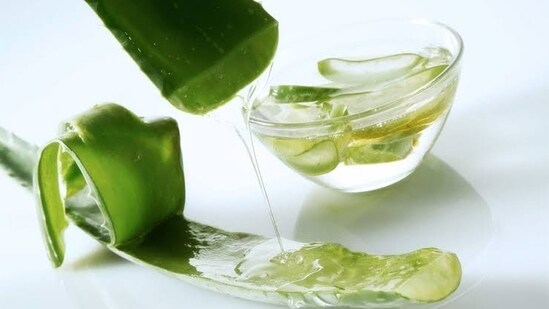 Aloe Vera: Aloe vera is an excellent moisturizer that can help to lighten darkened skin. Apply fresh alce vera gel to your elbows and leave it on for 20- 30 minutes before rinsing it off with water. You can do this daily until you see improvement.(Twitter/Nig_Farmer)