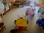  The image shows the deer roaming inside a classroom.