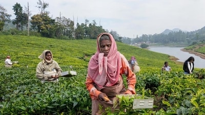 To be sure, cooperatives are only as good or bad as the larger socio-political ecosystem around them. (PTI) To be sure, cooperatives are only as good or bad as the larger socio-political ecosystem around them. (PTI)