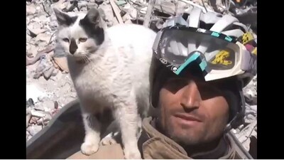 Cat saved in Turkey attaches itself to the rescue worker. (Reddit/@u/tinyblackberry.)