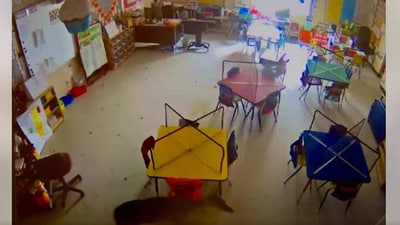 The image shows the deer roaming inside a classroom. (Facebook/@Evergreen Elementary School)