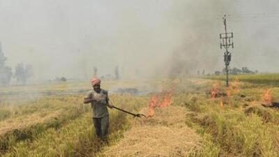 Farmers set aflame paddy stalks around October to clear their fields for their next crop. (HT (File)) Farmers set aflame paddy stalks around October to clear their fields for their next crop. (HT (File))