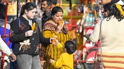 The average maximum temperature in the week ending February 16 for India was 27.52 degree Celsius. (Raj K Raj/HT photo) The average maximum temperature in the week ending February 16 for India was 27.52 degree Celsius. (Raj K Raj/HT photo)
