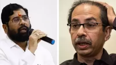 The Maharashtra crisis set in after the defection of close to 50 MLAs from the previous Maha Vikas Aghadi alliance. (File) The Maharashtra crisis set in after the defection of close to 50 MLAs from the previous Maha Vikas Aghadi alliance. (File)