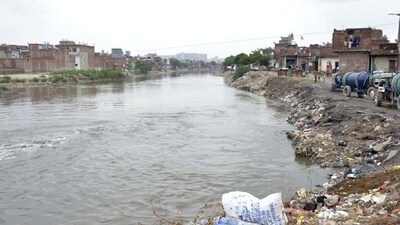 The tribunal was hearing matters pertaining to remedial action against "unabated pollution" of the Yamuna. (File) The tribunal was hearing matters pertaining to remedial action against "unabated pollution" of the Yamuna. (File)