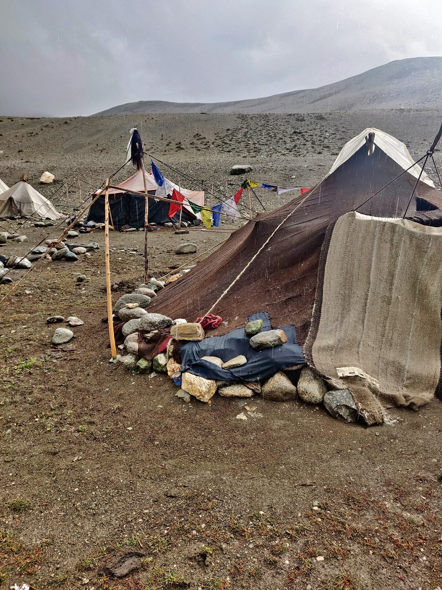 The Changpas live in rebos, hexagonal tents made from yak wool. They’re resistant to cold, but not to water, rendering them become unusable during the rains. “We are used to bitter cold, harsh winds and sun, but not the rains. Rain is a new phenomenon for us,” says Changpa shepherdess Sonam Yangdol, 45. The Changpas live in rebos, hexagonal tents made from yak wool. They’re resistant to cold, but not to water, rendering them become unusable during the rains. “We are used to bitter cold, harsh winds and sun, but not the rains. Rain is a new phenomenon for us,” says Changpa shepherdess Sonam Yangdol, 45.