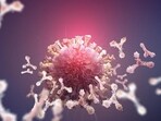 Newly-discovered virus possess the ability to destroy resistant bacteria: Study Newly-discovered virus possess the ability to destroy resistant bacteria: Study