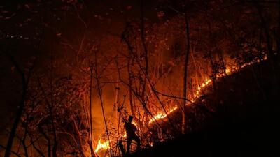 A team of four forest department personnel went to Manibhikti reserve forest, around 20 kilometres from Sakalaeshapura in Hassan district, to extinguish wildfire. (HT Archives) A team of four forest department personnel went to Manibhikti reserve forest, around 20 kilometres from Sakalaeshapura in Hassan district, to extinguish wildfire. (HT Archives)