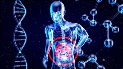 Digestive health problems and tips to ease digestion (Image by Julien Tromeur from Pixabay ) Digestive health problems and tips to ease digestion (Image by Julien Tromeur from Pixabay )