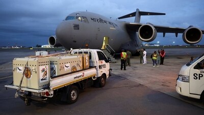 Crates with some of the 12 cheetahs are seen on a truck before being loaded on an IAF aircraft ahead of their departure from South Africa to India at the airport in Johannesburg. (REUTERS)