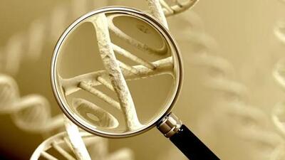 Initially, the state police had collected a DNA sample which could not be sent through Interpol channels. A digital format DNA profile was, however, collected by the police in Interpol standardised format and transmitted to Croatia through Interpol’s 24x7 channels the same day. The Kurukshetra youth was killed en route Italy on the “donkey route” in 2022. (Shutterstock/ Representational image)