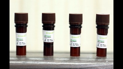 The institute also claimed that ‘GreenR’ is India’s first indigenous DNA gel stain. (HT Photo)