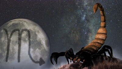 Scorpio Weekly Horoscope for February 19-25, 2023: This week has the potential to be fantastic and full of wonderful opportunities for Scorpios.
