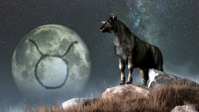 Taurus Weekly Horoscope for February19-25, 2023: As lady luck is on your side this week, you may have a relaxing one. (shutterstock)