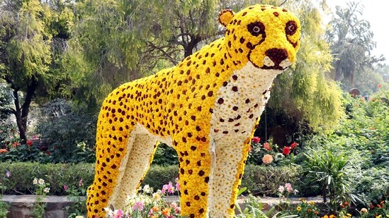 New Delhi, Feb 17 (ANI): Flowers set up in the shape of a cheetah during the 35th Garden Tourism Festival, at Garden of Five Senses, Saket, in New Delhi on Friday. (ANI Photo) (ANI)