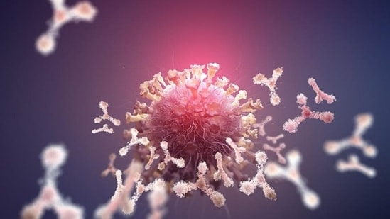 Newly-discovered virus possess the ability to destroy resistant bacteria: Study (Siarhei - stock.adobe.com)