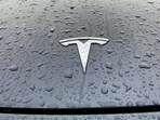 A view shows the Tesla logo on the hood of a car.
