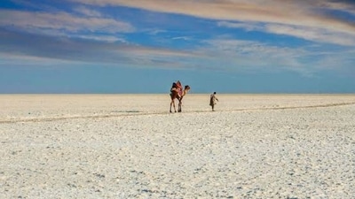 The Rann of Kutch in Gujarat. (Twitter/Gujarat Information Department) The Rann of Kutch in Gujarat. (Twitter/Gujarat Information Department)
