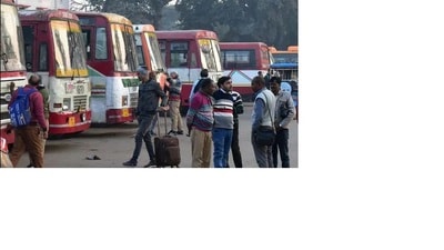 UPSRTC buses parked in Prayagraj. (HT File)