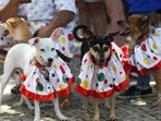 Dogs in costumes participate in the "Blocao" or dog carnival parade during Carnival celebrations, in Rio de Janeiro, Brazil February 18, 2023. REUTERS/Lucas Landau