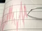 The earthquake took place at a depth of 10 kilometres from 70 km north-west of Yuksom. (File)