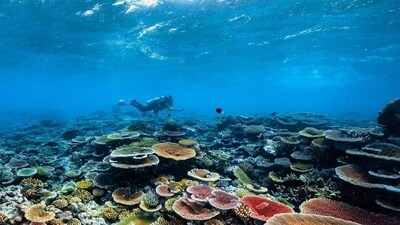 The high seas - areas lying beyond countries' exclusive economic zones - make up nearly two-thirds of the world's oceans. (Representative image)