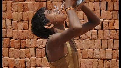 The heatwave last year killed around 90 people across south Asia, stoked forest fires in Uttarakhand, scorched reservoirs and shrivelled the wheat cro (HT ARCHIVE)