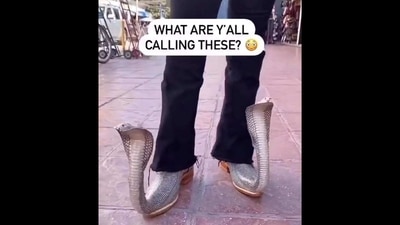 The image shows an individual flaunting snake-shaped shoes. (Instagram/@hvgoenka) The image shows an individual flaunting snake-shaped shoes. (Instagram/@hvgoenka)