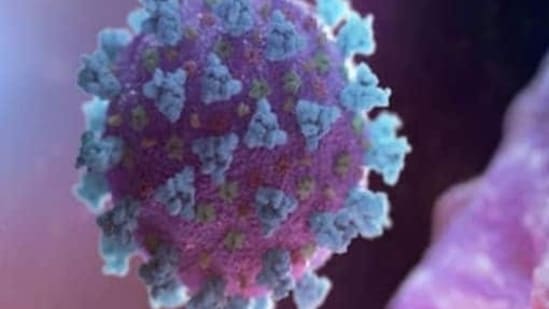 COVID-19 infection increases diabetes risk: Research (REUTERS)