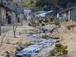 The study by the Transitional Justice Working Group said radioactive materials could have spread across eight cities and counties near the site. The study by the Transitional Justice Working Group said radioactive materials could have spread across eight cities and counties near the site.