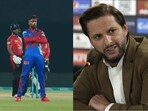 Afridi had said that he had a chat with Amir after his celebration for dismissing Babar Azam