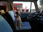 A dog car seat protector cover helps protect it from scratches and bites.