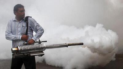 An official statement from the BMC’s insecticide branch says that the mosquito responsible for causing the nuisance is the Culex mosquito “which usually breeds in dirty stagnant water such as in nullas, SWDs and choked sewage lines”. The statement adds that the spate of road, SWD and sewage construction works are also responsible since, during their construction, “the existing drains are stopped by creating bunds/coffer dams etc… which are conducive to Culex mosquito-breeding…” (REUTERS) An official statement from the BMC’s insecticide branch says that the mosquito responsible for causing the nuisance is the Culex mosquito “which usually breeds in dirty stagnant water such as in nullas, SWDs and choked sewage lines”. The statement adds that the spate of road, SWD and sewage construction works are also responsible since, during their construction, “the existing drains are stopped by creating bunds/coffer dams etc… which are conducive to Culex mosquito-breeding…” (REUTERS)