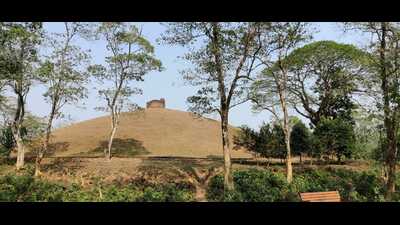 The Ahoms were good record keepers, and details of their history are found in ‘buranjis’, which chronicled their rule and important events. The practice of burying the deceased in maidams, which in Tai language means “place where the dead are worshipped”, started in Assam’s Charaideo with Sukapha also finds mention in one such ‘buranji’. (Utpal Parashar/HT) The Ahoms were good record keepers, and details of their history are found in ‘buranjis’, which chronicled their rule and important events. The practice of burying the deceased in maidams, which in Tai language means “place where the dead are worshipped”, started in Assam’s Charaideo with Sukapha also finds mention in one such ‘buranji’. (Utpal Parashar/HT)