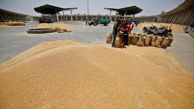 Workers fill sacks with wheat at the market yard of the Agriculture Product Marketing Committee (APMC) on the outskirts of Ahmedabad, India, in May 2022. (REUTERS/FILE)