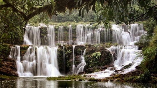 Meghalaya's 'Whistling Village', Kongthong, and the tale behind the songs (File Photo by Twitter/travelmyindia36)