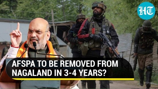 'AFSPA will be lifted in 3-4 years...': Shah hopeful in poll-bound Nagaland