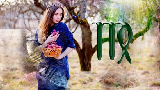 Virgo Daily Horoscope Today for February 24, 2023: You might give off a good professional impression.