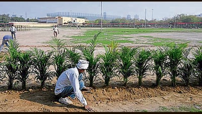 A Noida Authority worker makes preparations for the flower show in Sector 21A in Noida on Wednesday. (Sunil Ghosh/HT Photo) A Noida Authority worker makes preparations for the flower show in Sector 21A in Noida on Wednesday. (Sunil Ghosh/HT Photo)