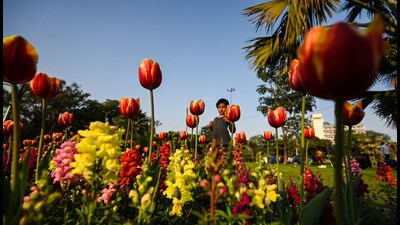 In December 1828, Dr Charles Lush, assistant surgeon and superintendent of the East India Company’s botanical garden at Dapooree (Dapodi) near Poona received a letter from a Maratha chief (REPRESENTATIVE IMAGE) In December 1828, Dr Charles Lush, assistant surgeon and superintendent of the East India Company’s botanical garden at Dapooree (Dapodi) near Poona received a letter from a Maratha chief (REPRESENTATIVE IMAGE)