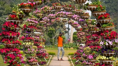 Give me Trees Trust (GMTT), an NGO associated with the landscaping of Sunder Nursery, came up with the idea of walks keeping in mind the monuments. (PTI) Give me Trees Trust (GMTT), an NGO associated with the landscaping of Sunder Nursery, came up with the idea of walks keeping in mind the monuments. (PTI)