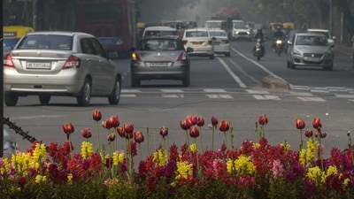 "The quantity of tulips planted has been doubled in order to showcase the beauty of the city with tulip blossoms in every location of NDMC area," said an official from the New Delhi Municipal Council to news agency PTI. (PTI) "The quantity of tulips planted has been doubled in order to showcase the beauty of the city with tulip blossoms in every location of NDMC area," said an official from the New Delhi Municipal Council to news agency PTI. (PTI)