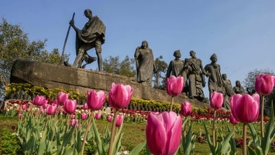 A 13-day Tulip Festival has been organized by the New Delhi Municipal Council (NDMC) in Delhi's Shanti Path lawns to herald the spring season. The festival began on February 14 and will go on till February 26. (PTI) A 13-day Tulip Festival has been organized by the New Delhi Municipal Council (NDMC) in Delhi's Shanti Path lawns to herald the spring season. The festival began on February 14 and will go on till February 26. (PTI)