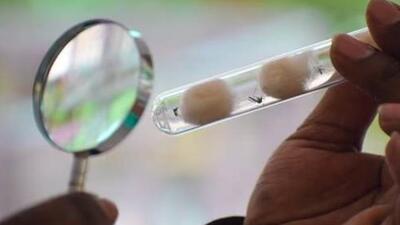 The scientists are now gearing up for human trials of the drug. (istockphoto) The scientists are now gearing up for human trials of the drug. (istockphoto)