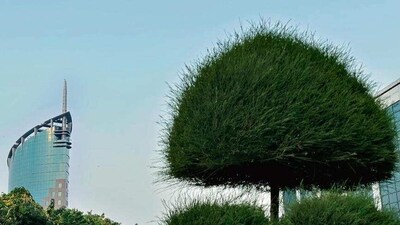 Delhiwale: The Millennium’s edifices Delhiwale: The Millennium’s edifices